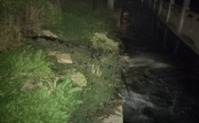  “回頭看”典型案例通報（十五）丨 湖北荊州市排污囗“一堵了之” 造成生活污水倒灌街面 群眾反映強烈