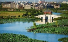  環保促發展系列報道（2）｜從“優環境”到“強產業”再到“惠民生” 東莞市麻涌鎮走通綠色發展“閉環”