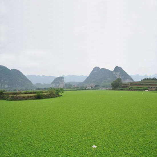  氣溫下降，我的氨氮超標怎么辦