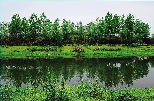  小微型水質監(jiān)測站如何選用水質自動采樣器？